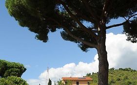 Villa Boldrini B&B